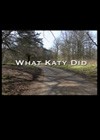 What Katy Did.jpg